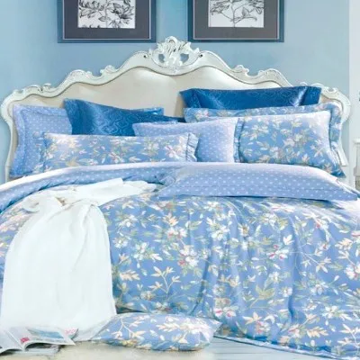 Европа голубой1