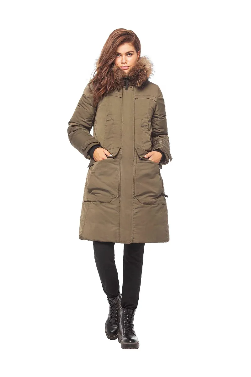 Нова зеленый (1).jpg