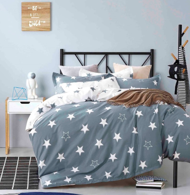 Звездная ночь